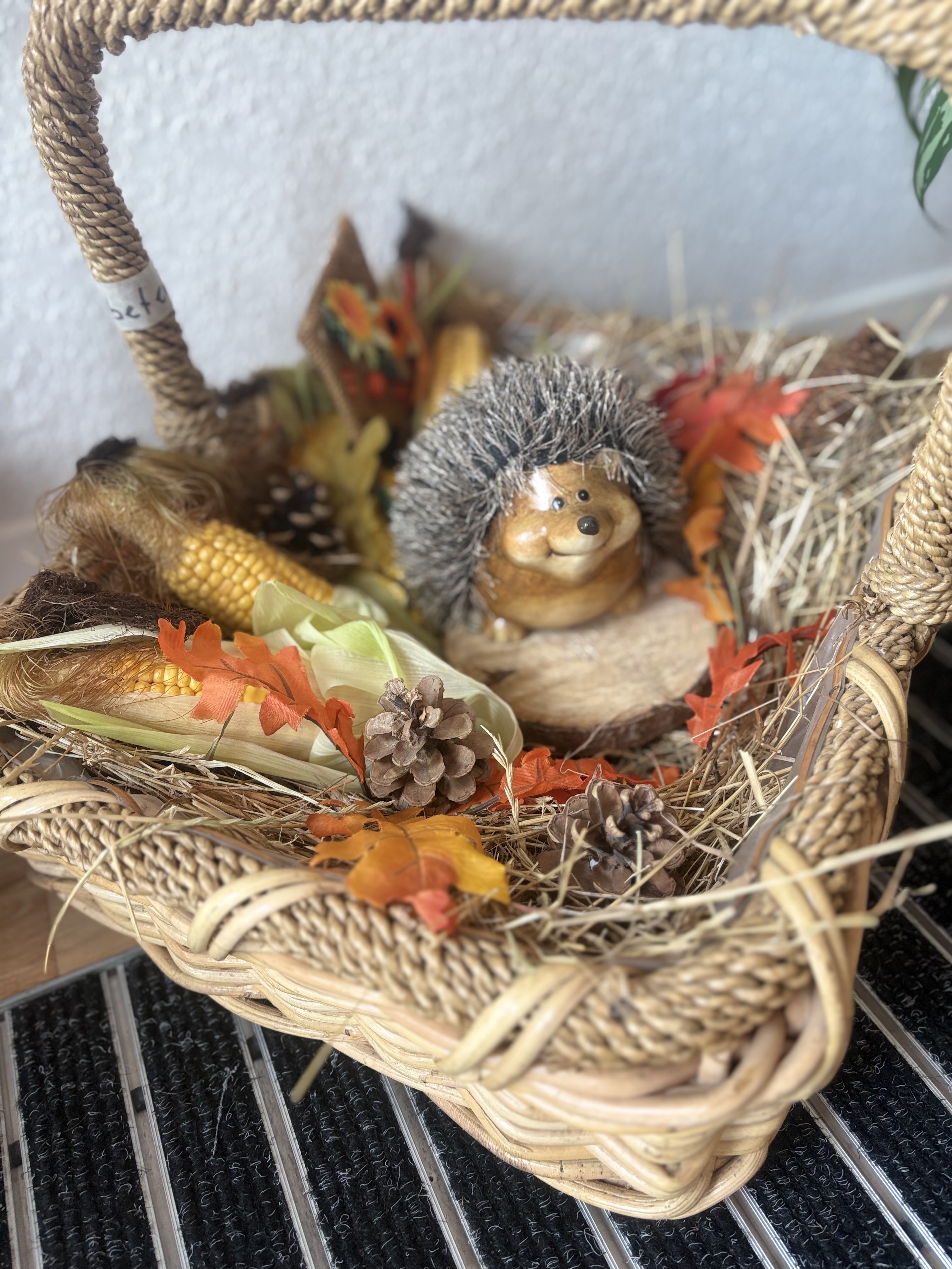 Der Herbst hält Einzug bei der Sovita GmbH Der Herbst hält Einzug bei der Sovita GmbH
